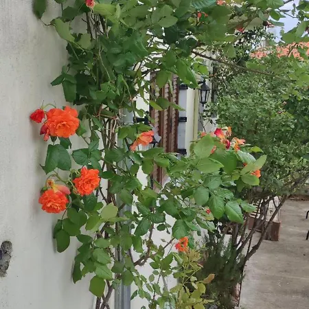 別荘 Sotiros Sunset House