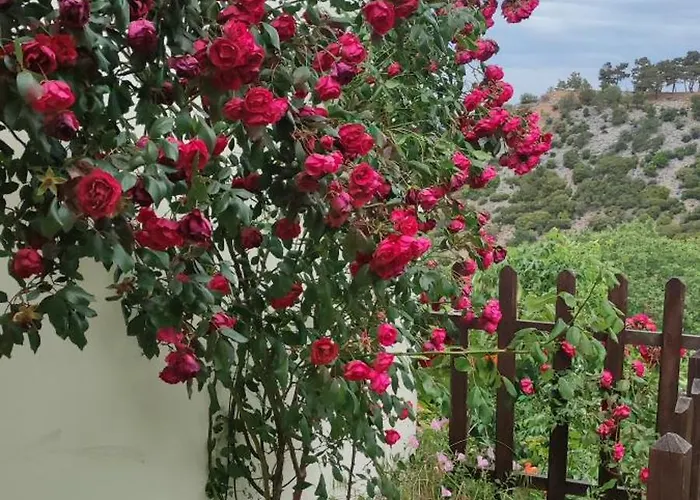 Sotiros Sunset House