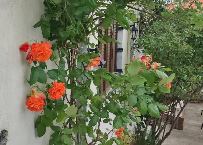 別荘 Sotiros Sunset House