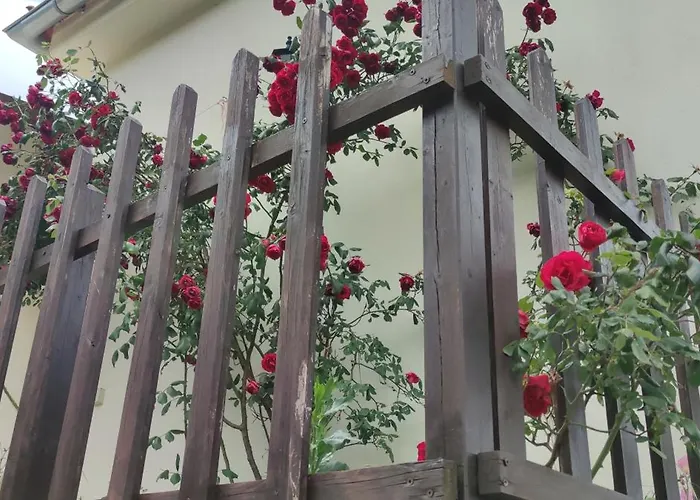 Sotiros Sunset House スカラ・ソティロス